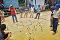 Foto miniatura