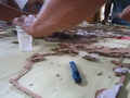 Foto miniatura